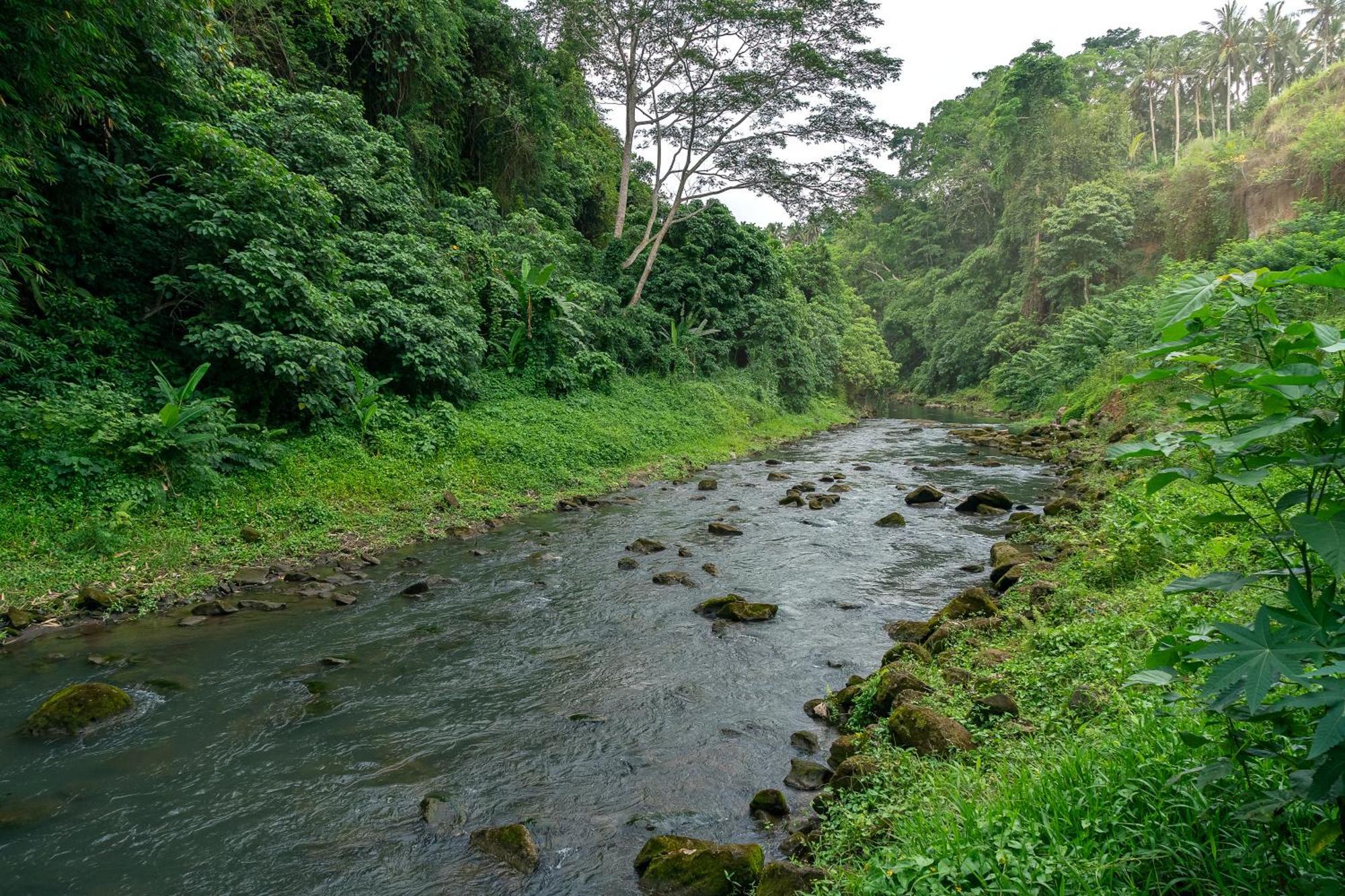 The Pyramid Ubud River Villas Payangan Buitenkant foto